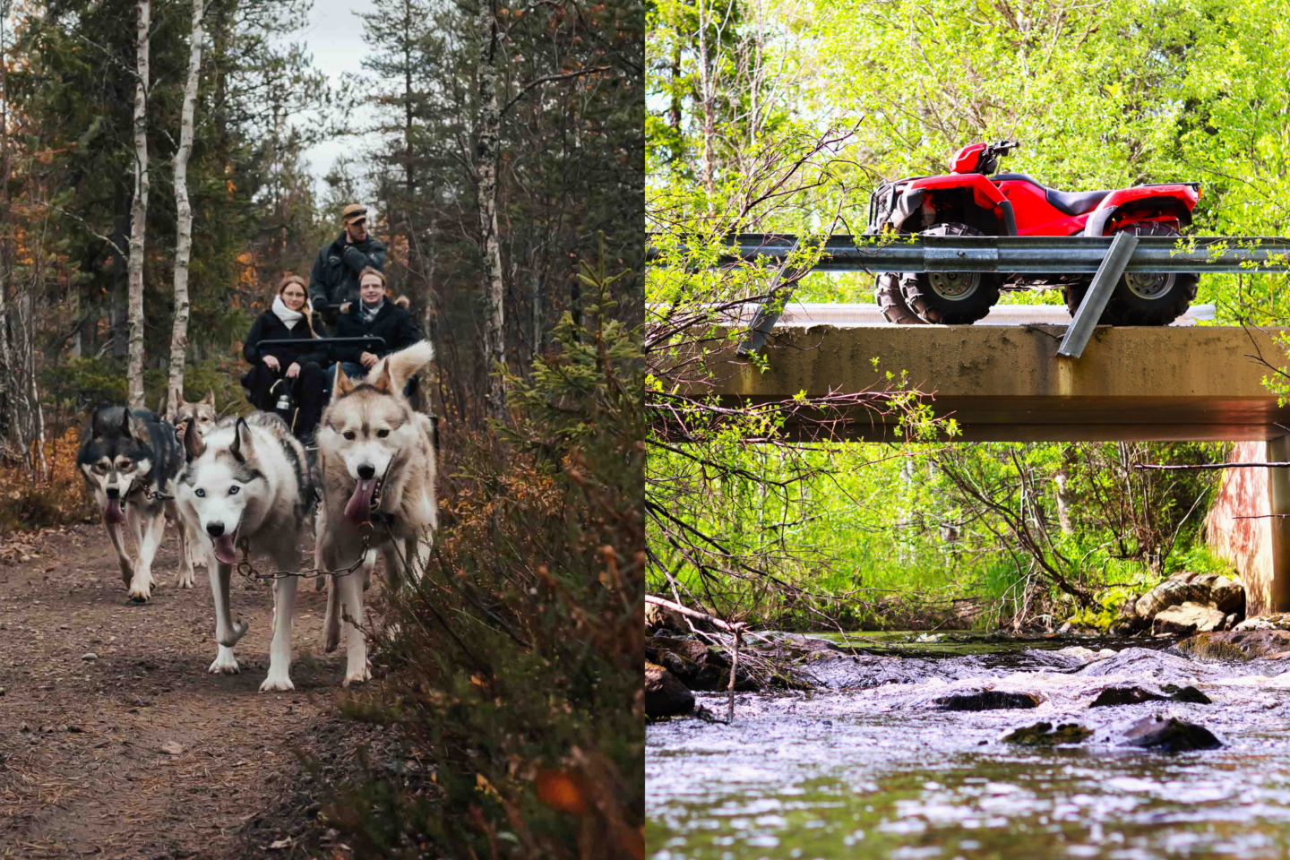 autumn self-driven husky and quad bike safari pure lapland rovaniemi