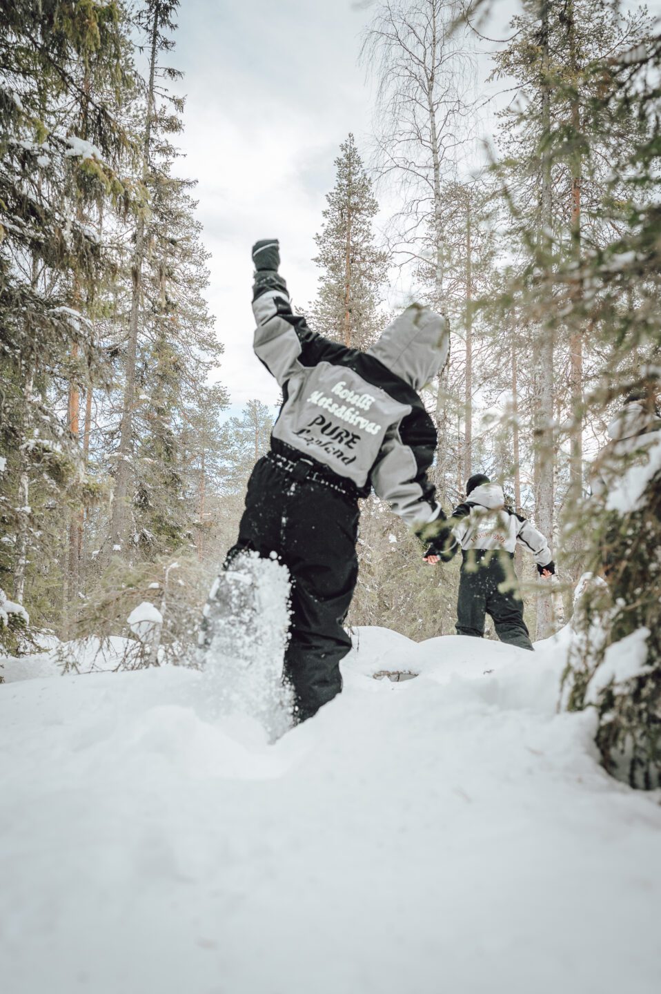 Snowshoeing safari pure lapland rovaniemi