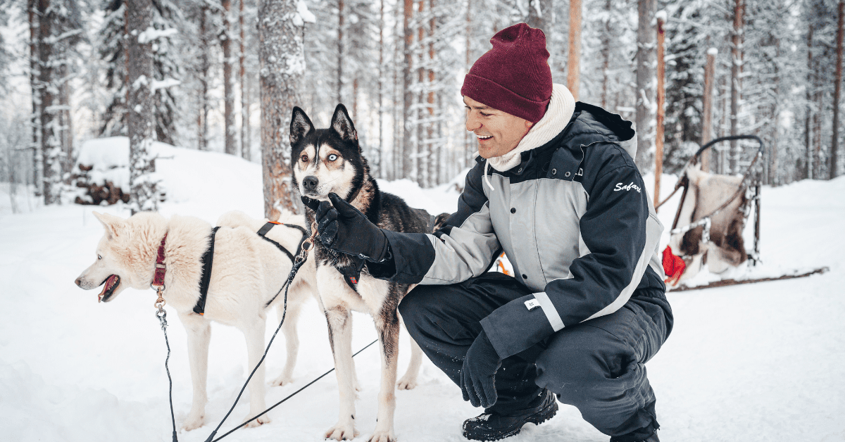 Husky ride Rovaniemi, lapland