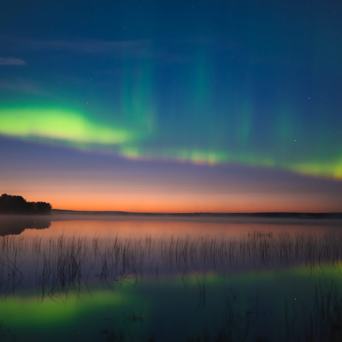 Northern Lights, aurora borealis, autumn, pure lapland, safari, tour, rovaniemi