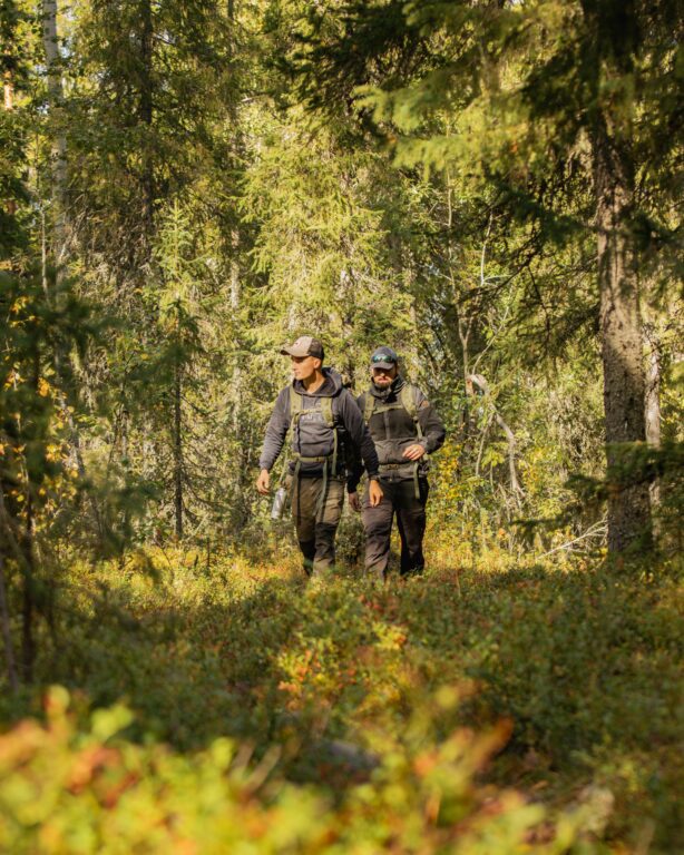 Hiking tour, rovaniemi, pure lapland, finland