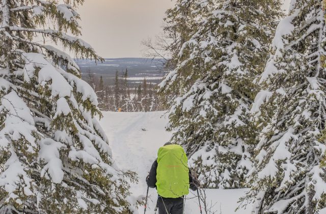 0381d7ce-4bca-4776-8219-bc3e4ab8a1c3