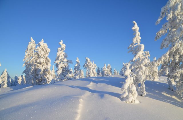 04fb77c4-816a-407d-a5ce-5a217aed30b9