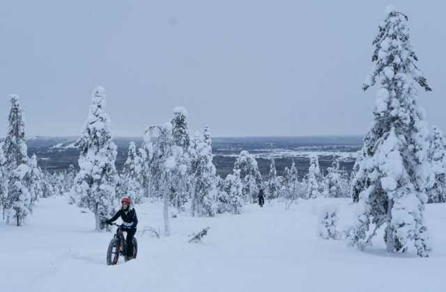 0c6618be-b9e4-4766-96e7-c080e9215583