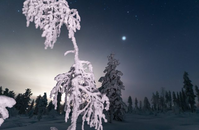 1401bd35-7c1a-415f-ab14-8665b2f0dd22-2