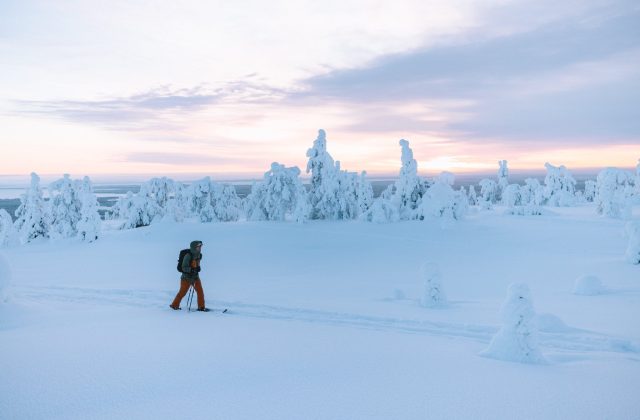 14b3da3c-b5f2-4811-85e9-dd47cc14c1a6-1