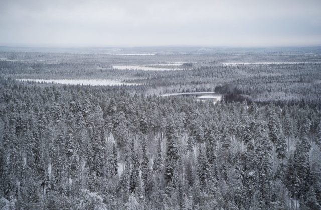 164e87ae-2baf-4ed9-81ca-e9c7cce41c8f-1