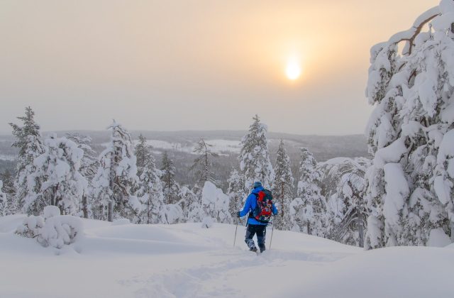 1abddb1c-9eee-4837-a17c-f80bf97159c2-1