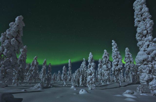 Amazing northern lights with snowmobiles. Revontulet ja kuutamon valaisema metsä, Rovaniemi.