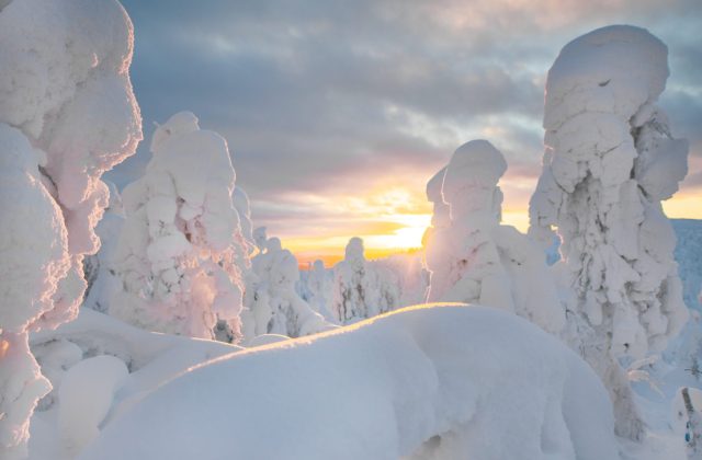 29e53845-486d-4b2c-bd3d-190f4d00efdb-1