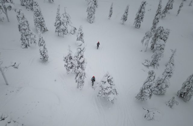 2fb6fa30-f3c6-43a2-b4f3-bf8dc2cc084a-3