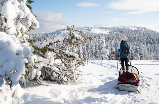 3123fdf0-a927-41c9-85c8-dd0e22567ea1-1