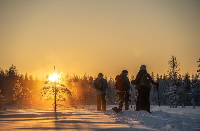 319c281e-4c26-44fb-af5a-720b13f707f2-1