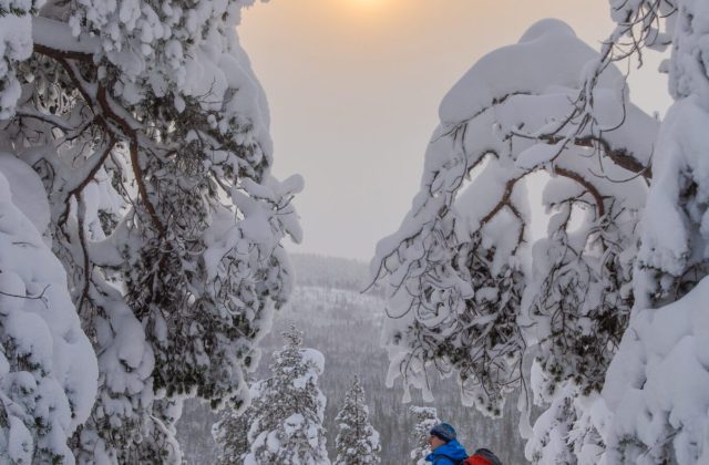 3a277946-82df-4741-a3f9-ea7135710333-1