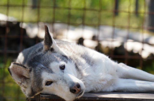 3ef74dde-7dab-4c75-ae01-9aa38b096048-1