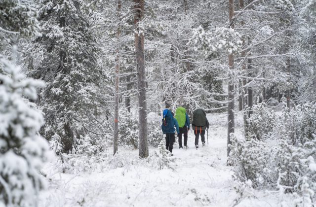 439c664f-b27a-4c77-b122-4cb12050da89