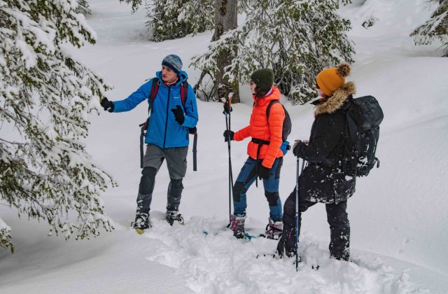 44f5593e-2957-4be4-919e-2b48934bd7ad