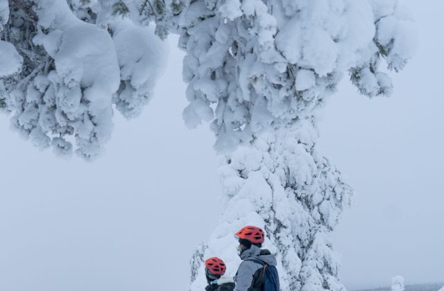 45679a88-8cfa-4175-aeec-cabf43c70dc9-2