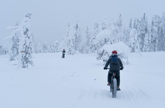 47bc29b2-b090-42e0-9ecc-f9aa758fb7c5-2