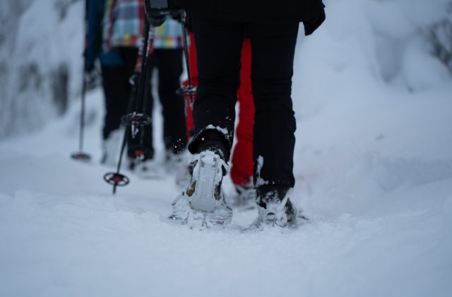 498d6ef1-5155-4304-b38b-82d9a644fd89