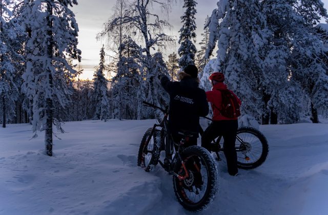 531db7eb-7d17-45f5-90b3-72331843ed3a-3