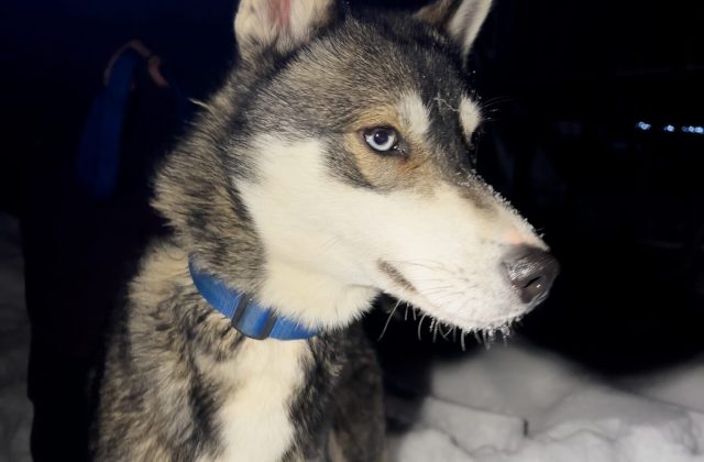 55d05d4c-9f2c-427a-a87d-1ddb4716f512