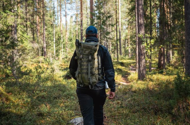 Hiking tour, rovaniemi, pure lapland, finland