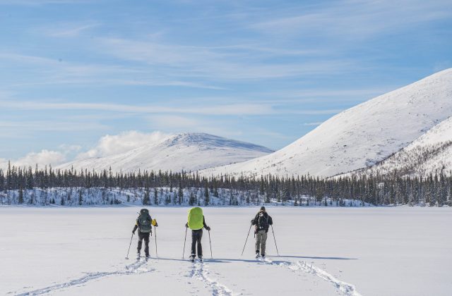 660cc7ff-791a-414c-95bd-f67c5b08f2c7-1