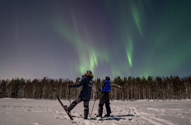 74e09507-7408-47e3-90f4-0e5fcd467b63-2