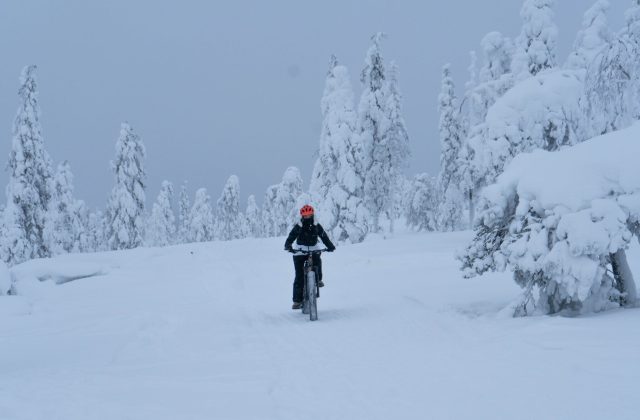 78ef7d57-0d13-4ec6-a2d7-95b689bc6eb4-3