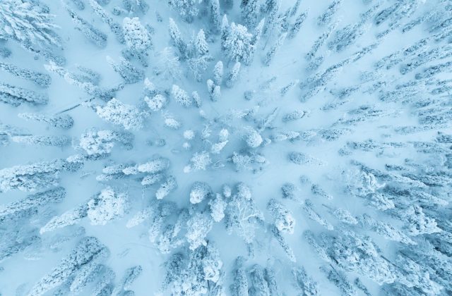 7b6c2fdf-bb33-46c8-b5aa-009627fedb3b