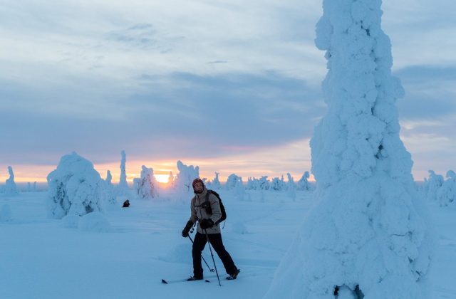 87b7ca5e-e76d-4ff9-abb9-aae35e785a95-1