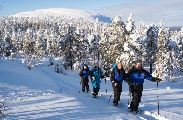 8a398a58-4b5f-431e-ad8d-e8c03bf7faf6