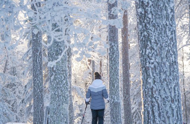 8fdc93e1-b10a-459d-8e67-2f735bb4ab95-1