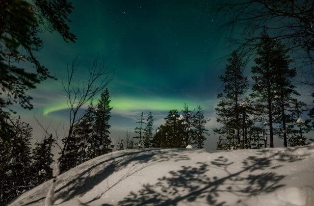 907a13ea-a138-4cc7-a356-d11ac469b69a-2