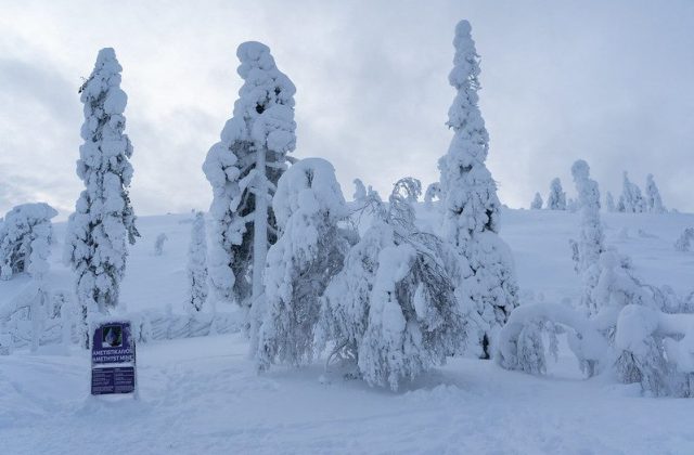 967b39d9-b047-498c-9eeb-706f25808c54