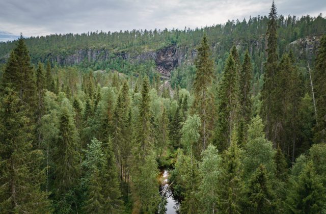 Korouoma canyon hiking tour, Pure Lapland, Rovaniemi, safari, Posio