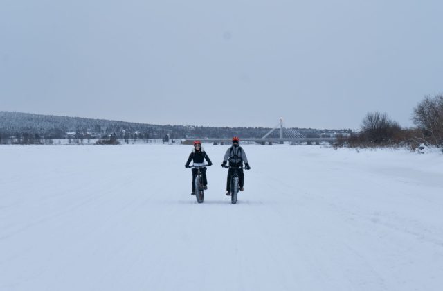 9a1d8d1d-6599-456d-8be0-0a9b5d2894d3-2