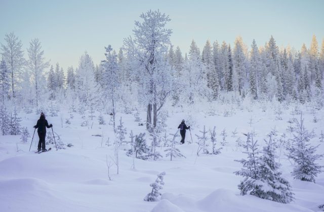 a0c44535-a96d-4317-88cb-928b765fdd7c-1