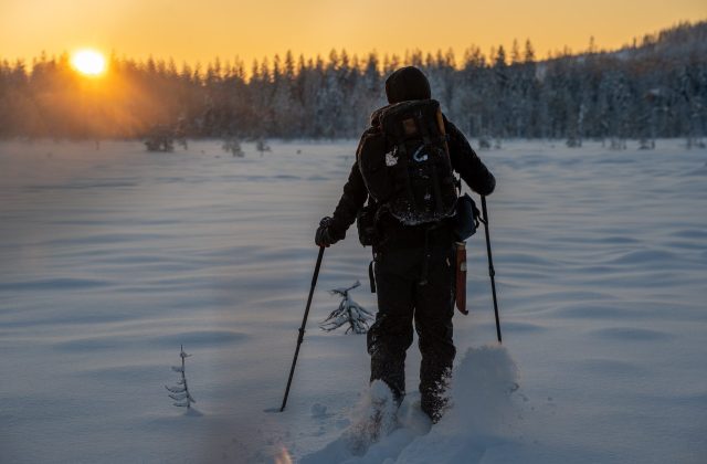 a19d8ec3-1435-4730-b85b-58830d3c186c