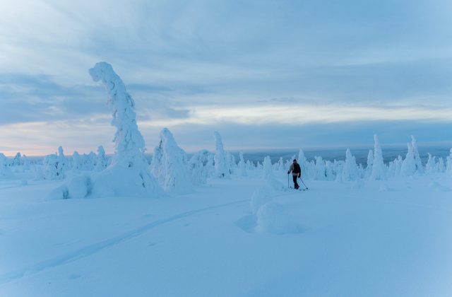 a1e546b4-3a69-4c30-bdfd-0009f5bdbf84-1