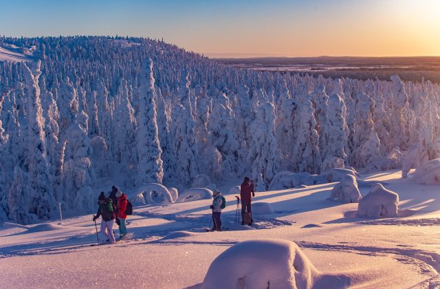 a1fe678f-707e-4366-972a-cd76face6f98