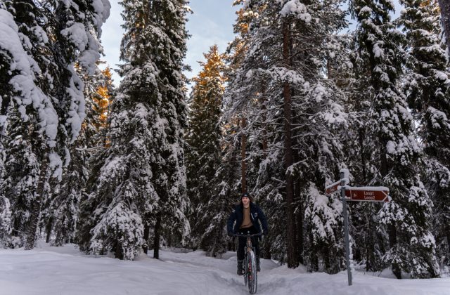 a27358bd-4c25-4497-814e-cf0ba30c415b-2