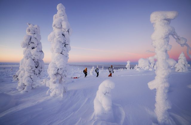 a43391a6-5a48-47fc-91db-5420eff98472-2