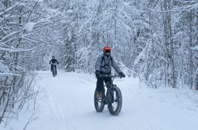 a74f42ef-5ea2-4a6c-b4c7-3849255afa12-2