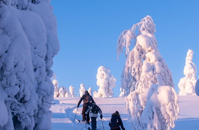 ac2e11c9-042a-45c3-9354-64b9356770a4