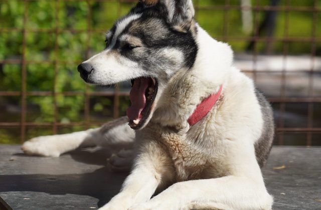 b09e1ffe-ea9d-456f-8fdd-ed268212c990