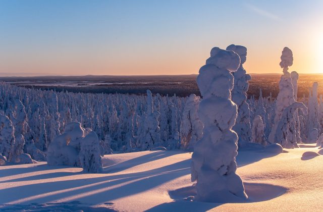 b151c7cb-9901-41e4-b5b0-62751c69b052