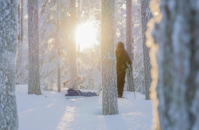 b83122b6-8814-4046-9e12-d4152ab5a825-1