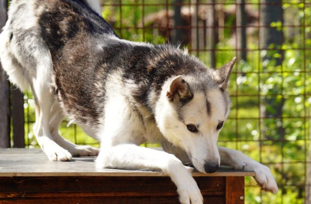 b8e713ef-cde7-4154-9624-5106a96a792b